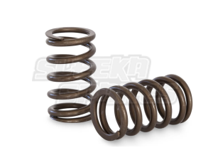 Kelford RB20DET RB25DET Valve Springs R33 Non-NVCS Race