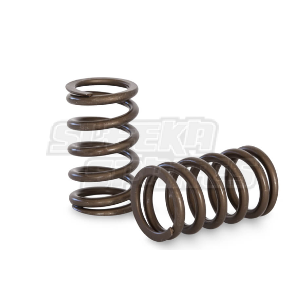 Kelford RB20DET RB25DET Valve Springs R33 Non-NVCS Race